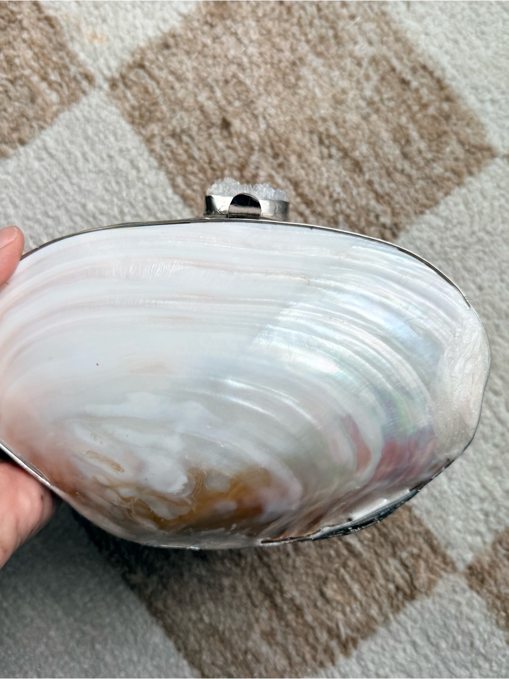 Mother of Pearl Shell Clutch - Iridescent White